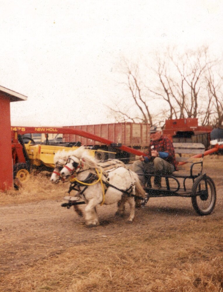 Bob Lamport